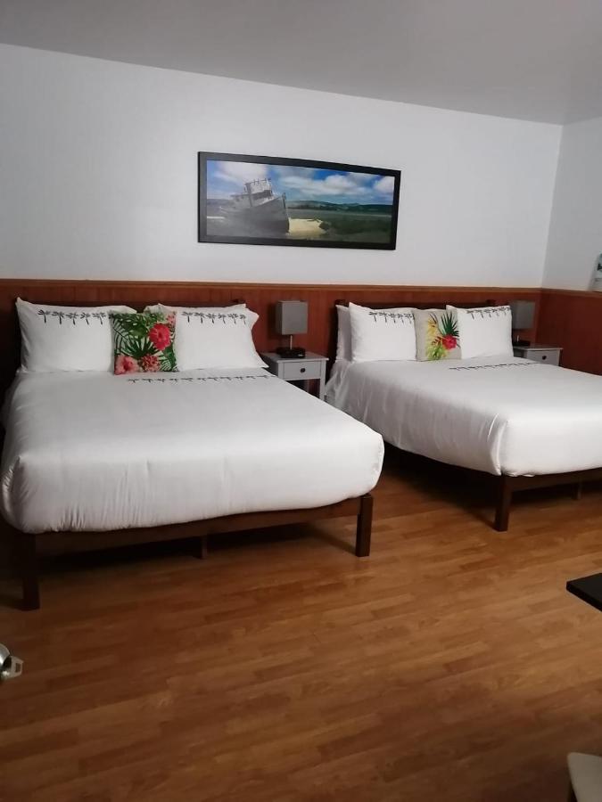 Hotel Fleurs Karaibes Saint-Alexandre-de-Kamouraska エクステリア 写真