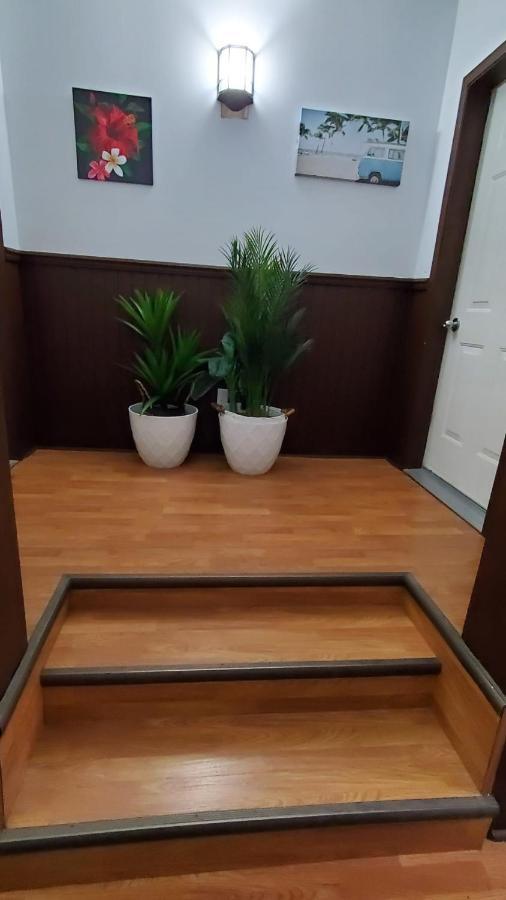 Hotel Fleurs Karaibes Saint-Alexandre-de-Kamouraska エクステリア 写真